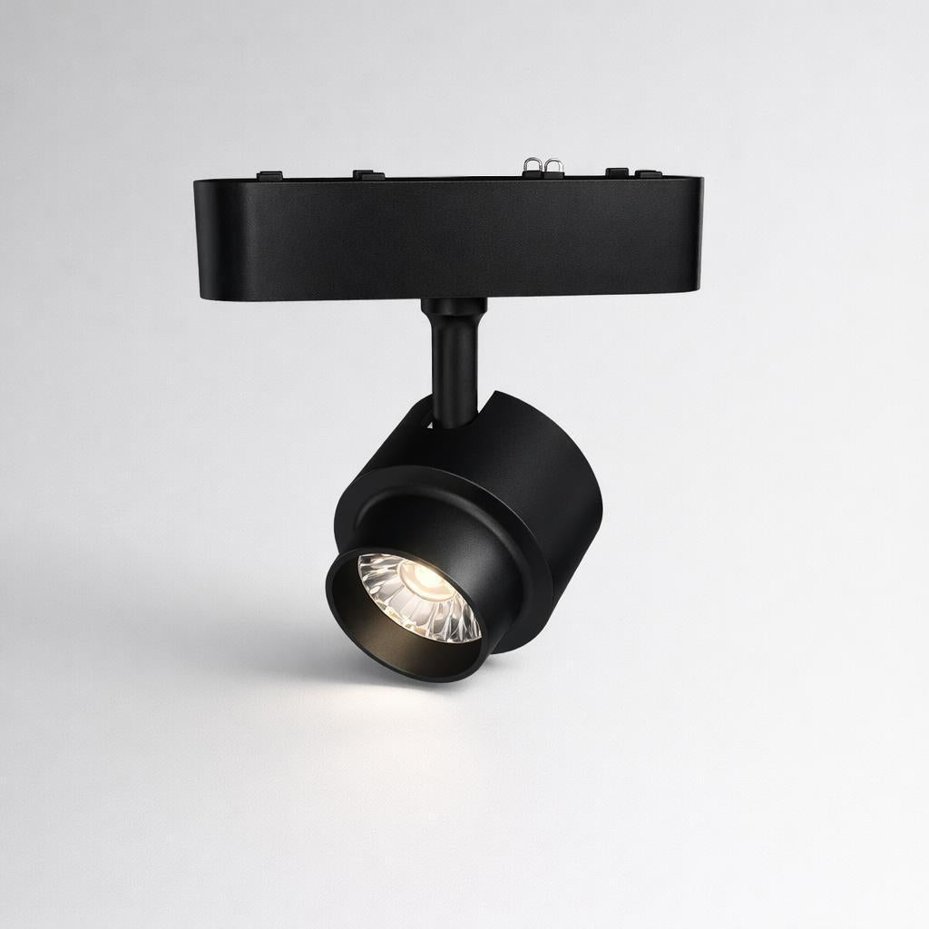 Axis Curved Magnetic Track Spotlight