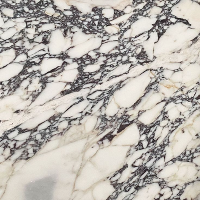 Calacatta Marble