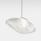 Nimbus Hand Blown Clear Glass Pendant Light with Brushed Nickel Canopy