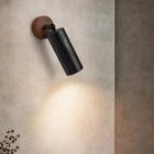 Root Stone Spot Light in Natural or Black