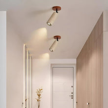 Root Stone Spot Light in Natural or Black