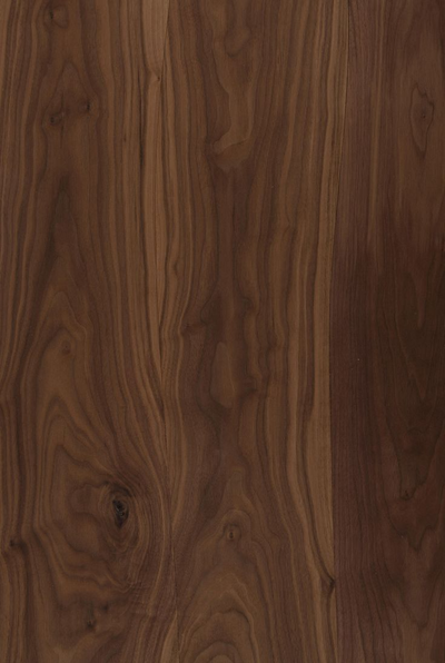 Walnut Timber